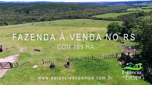 VAI ATE MANGUEIRA OVELHAS.00_00_41_08.Quadro011_c3c7f35e2d0f3d205de7fc4061e5ea2b599fc769.jpg